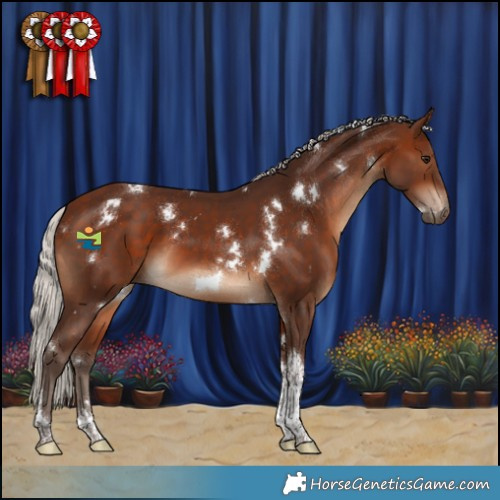 Horse Color:White Spotted Silver Brown Tobiano 
