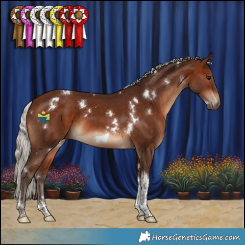 Horse Color:White Spotted Silver Brown Tobiano 