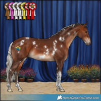 Horse Color:White Spotted Silver Brown Tobiano 