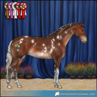 Horse Color:White Spotted Silver Brown Tobiano 
