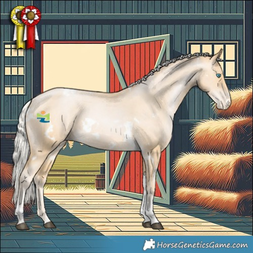 Horse Color:White Spotted Silver Buckskin Snowdrop Tobiano Appaloosa