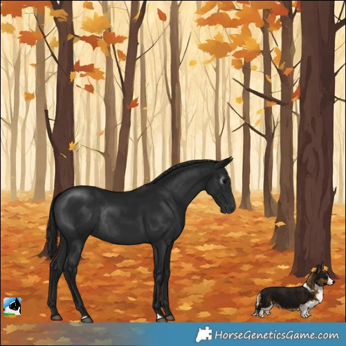 Horse Color:Gray Brown Rabicano