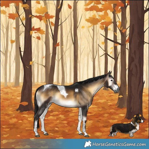 Horse Color:Gray Bay Onyx Tobiano Frame 