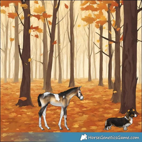 Horse Color:Gray Bay Onyx Tobiano Frame 