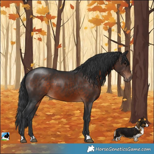 Horse Color:Brown 