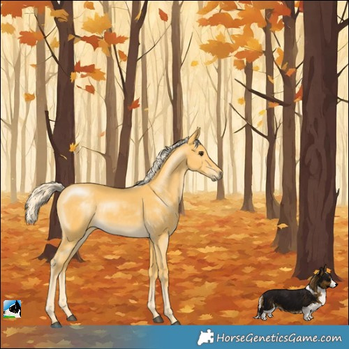 Horse Color:Palomino