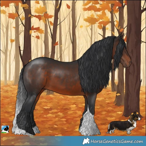 Horse Color:Brown Tobiano