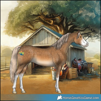 Horse Color:White Spotted Chocolate Palomino 