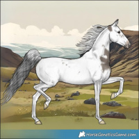 Horse Color:Grullo Splash Tobiano Frame