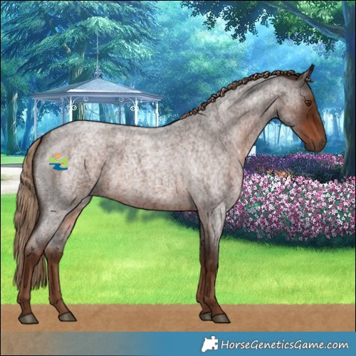 Horse Color:Liver Red Roan Rabicano 