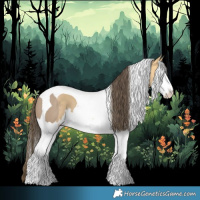 Horse Color:Liver Red Dun Splash Tobiano  and Amber Cream Champagne Splash Tobiano 