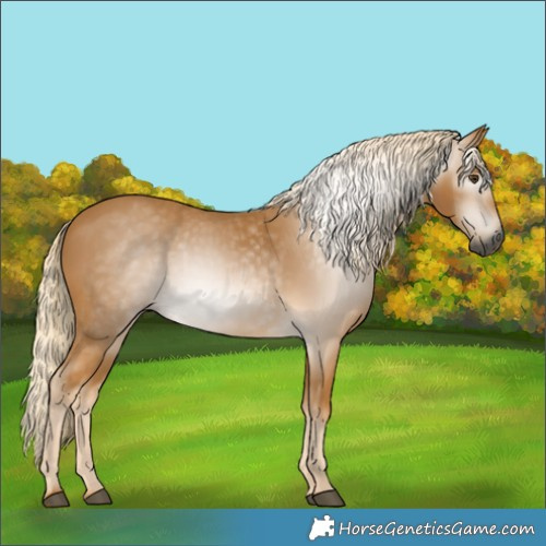 Horse Color:Gray Palomino