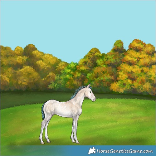 Horse Color:Painted White Spotted Silver Smoky Blue Onyx Ice Pearl Tobiano 