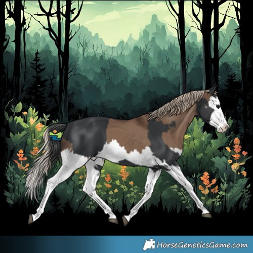 Horse Color:Black Splash and Liver Red Dun Splash