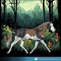 Horse Color:Black Splash and Liver Red Dun Splash