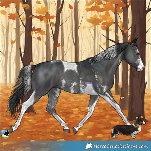 Horse Color:Midnight Blue Onyx Chinchilla Ice Sabino Tobiano