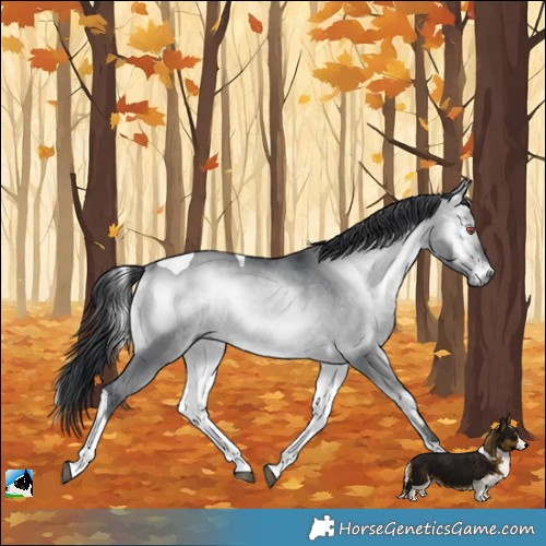 Horse Color:Brown Chinchilla Onyx Tobiano 