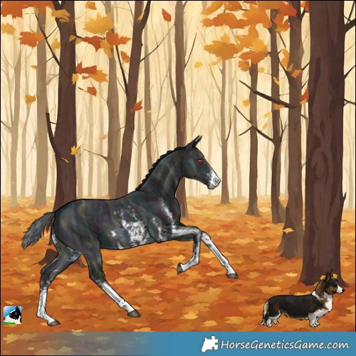 Horse Color:Midnight Brown Chinchilla Ice Sabino