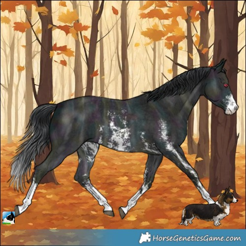 Horse Color:Midnight Brown Chinchilla Ice Sabino 