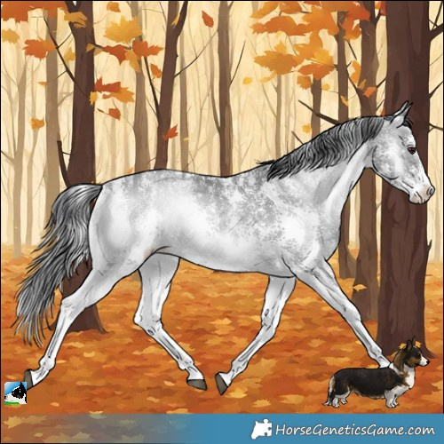 Horse Color:Blue Onyx Chinchilla Ice Sabino 