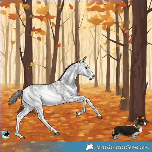 Horse Color:Blue Onyx Chinchilla Ice Sabino