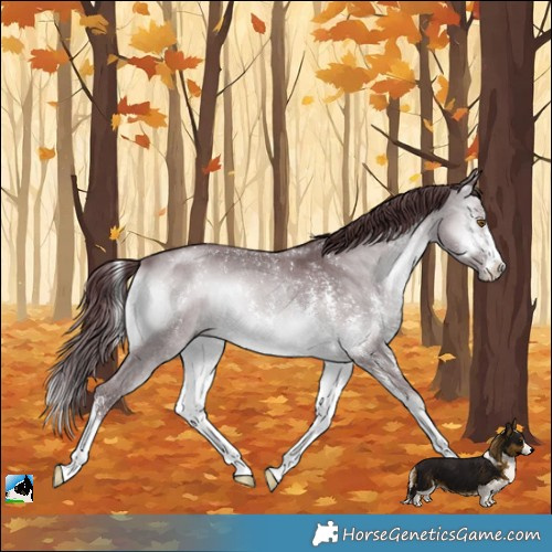Horse Color:Chocolate Brown Chinchilla Onyx Sabino