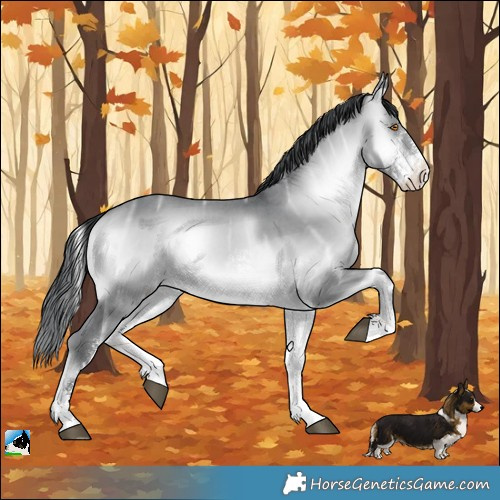 Horse Color:Brown Chinchilla Ice Onyx Sabino Rabicano 