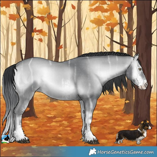 Horse Color:Brown Chinchilla Ice Onyx Sabino Rabicano