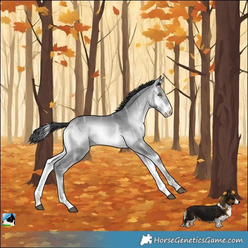 Horse Color:Brown Chinchilla Ice Onyx Sabino Rabicano