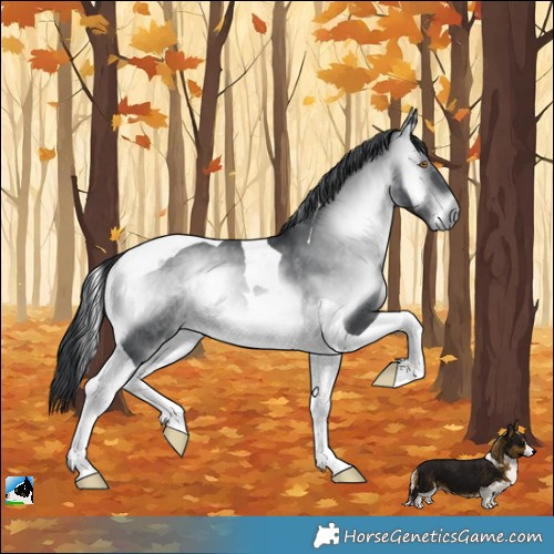 Horse Color:Brown Chinchilla Onyx Tobiano 