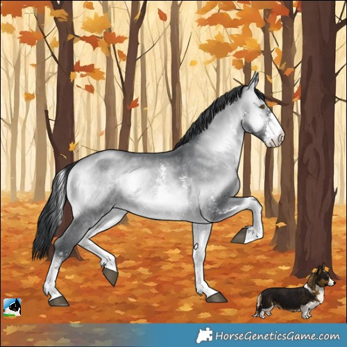 Horse Color:Brown Chinchilla Onyx Sabino 