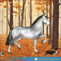 Horse Color:Brown Chinchilla Onyx Sabino 