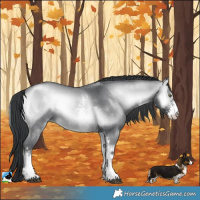 Horse Color:Brown Chinchilla Onyx Sabino
