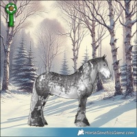 Horse Color:White Spotted Silver Smoky Black Chinchilla Ice 