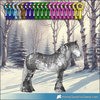 Horse Color:White Spotted Silver Smoky Black Chinchilla Ice