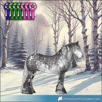 Horse Color:White Spotted Silver Smoky Black Chinchilla Ice