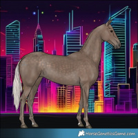 Horse Color:Silver Black