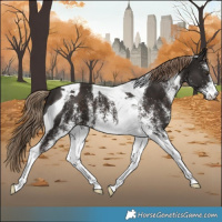 Horse Color:White Spotted Liver Chestnut Tobiano
