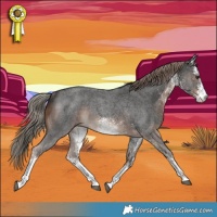 Horse Color:White Spotted Liver Chestnut Rabicano 
