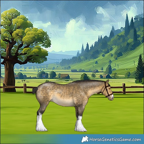 Horse Color:White Spotted Buckskin Dun Rabicano 