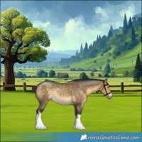 Horse Color:White Spotted Buckskin Dun Rabicano 