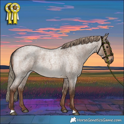 Horse Color:Liver Red Dun Roan 