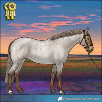 Horse Color:Liver Red Dun Roan 