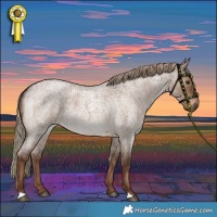 Horse Color:Liver Red Dun Roan 