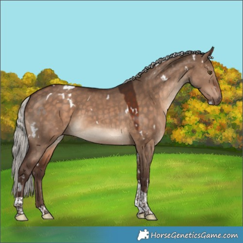 Horse Color:White Spotted Silver Brown Dun Tobiano 