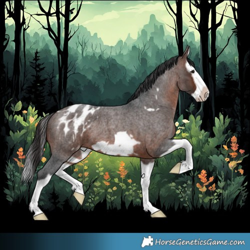 Horse Color:Brown Roan Splash Frame Appaloosa