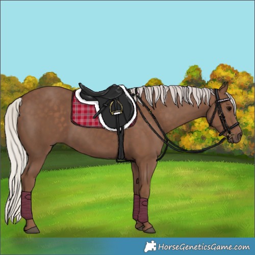 Horse Color:Silver Black 