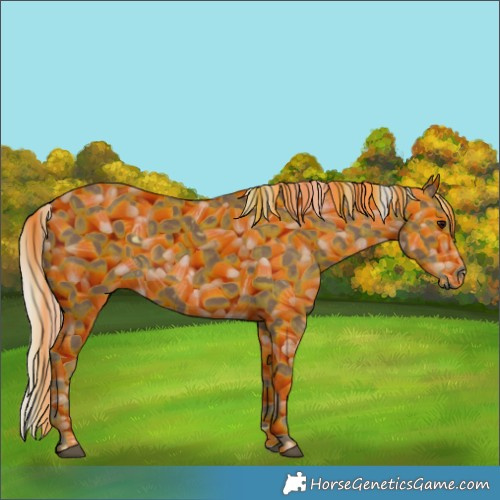 Horse Color:Silver Black 