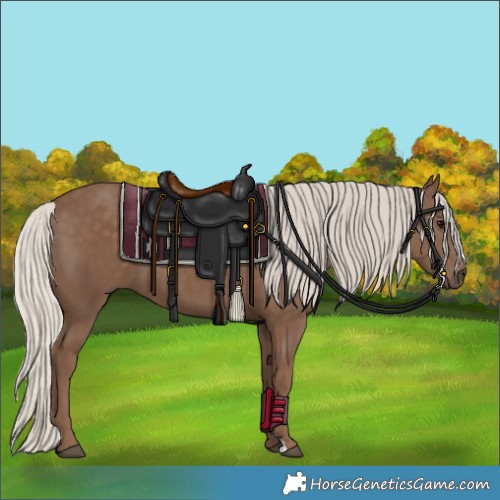 Horse Color:Silver Black 