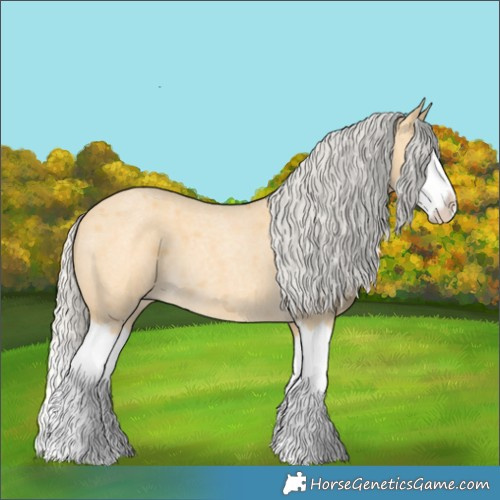 Horse Color:Silver Buckskin Roan Splash